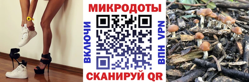 наркошоп  Рязань  Псилоцибиновые грибы мухоморы 