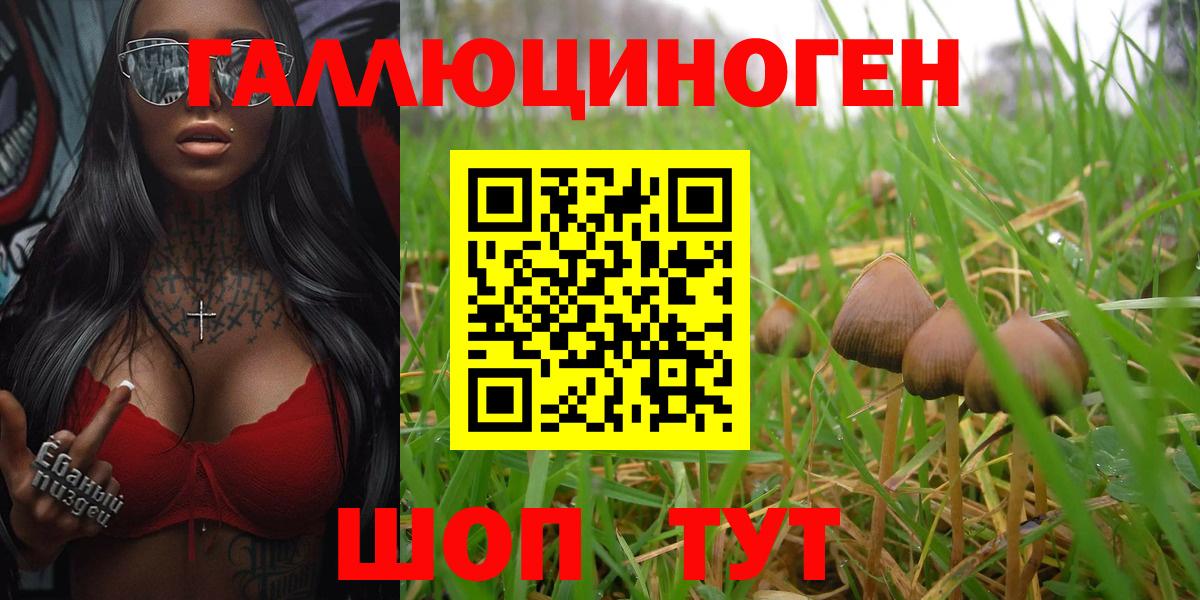 Галлюциногенные грибы Magic Shrooms Рязань